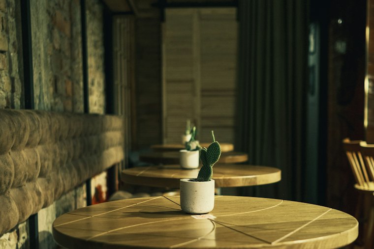 La salle : tables rondes en bois et une plante sur la table.
